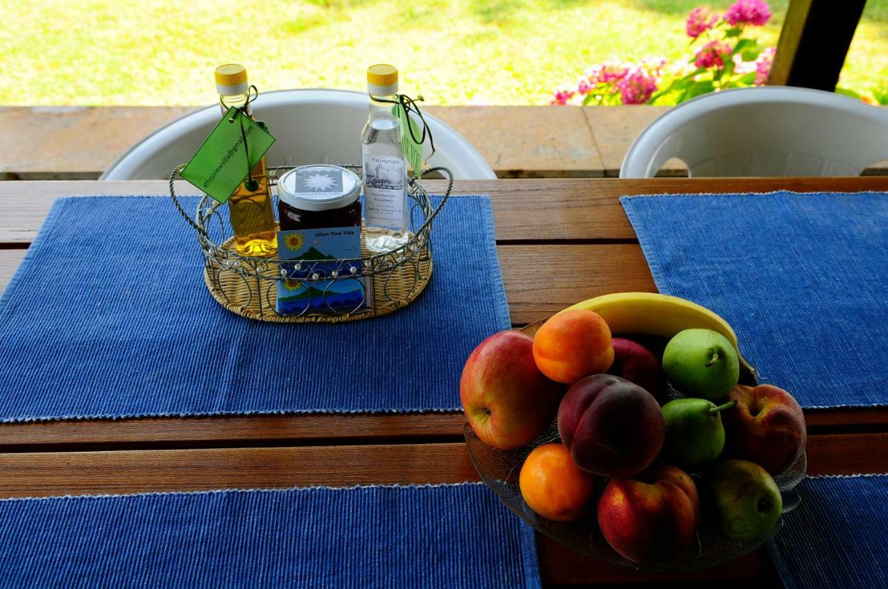 אורמוס פנגיאס Athos View Villa By The Sea מראה חיצוני תמונה